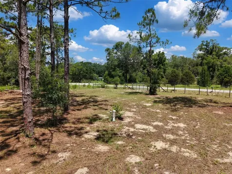 54 NE 841st Avenue Old Town FL 32680