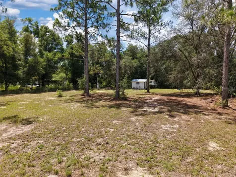 54 NE 841st Avenue Old Town FL 32680