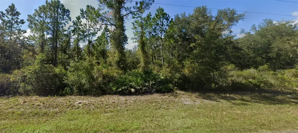 0 NE 64th Avenue Citra FL 32113