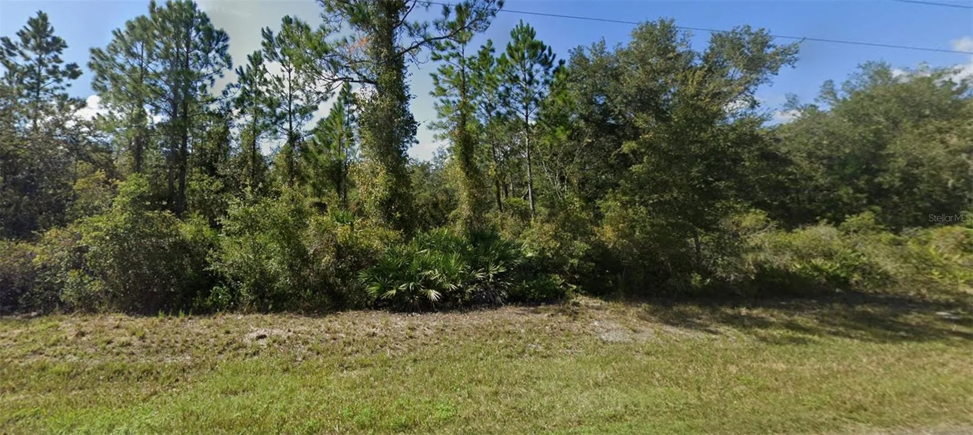 0 NE 64th Avenue Citra FL 32113