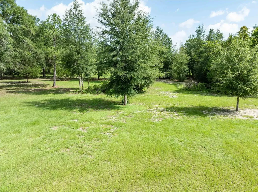 9889 NW 9th Court Branford FL 32008