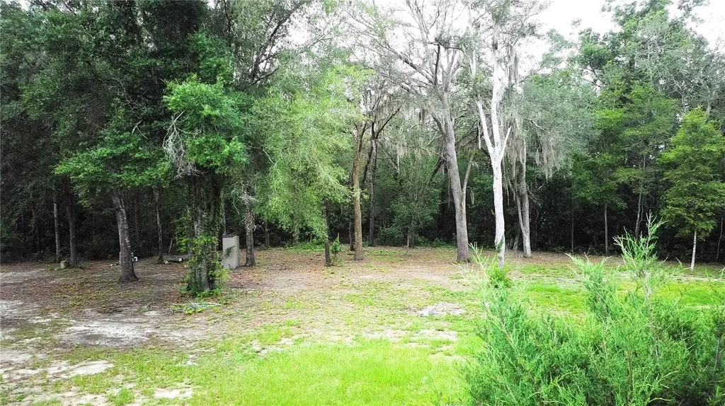 9889 NW 9th Court Branford FL 32008