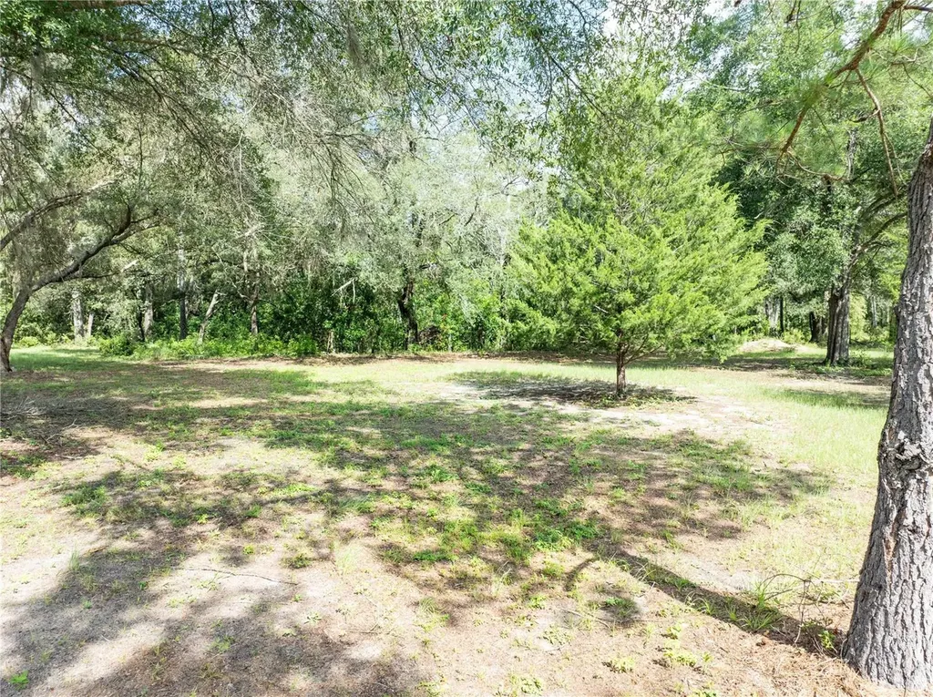9889 NW 9th Court Branford FL 32008