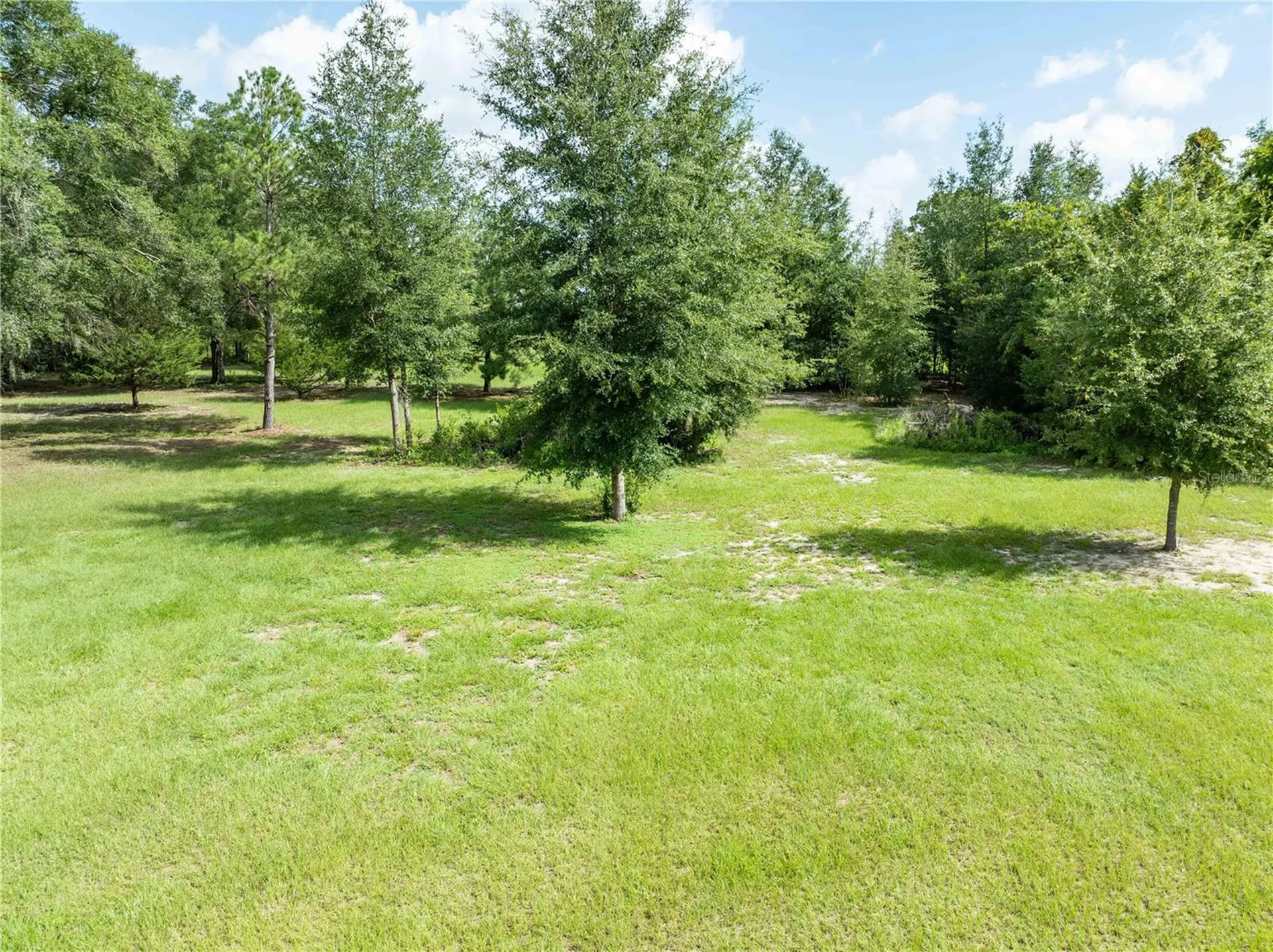9889 NW 9th Court Branford FL 32008