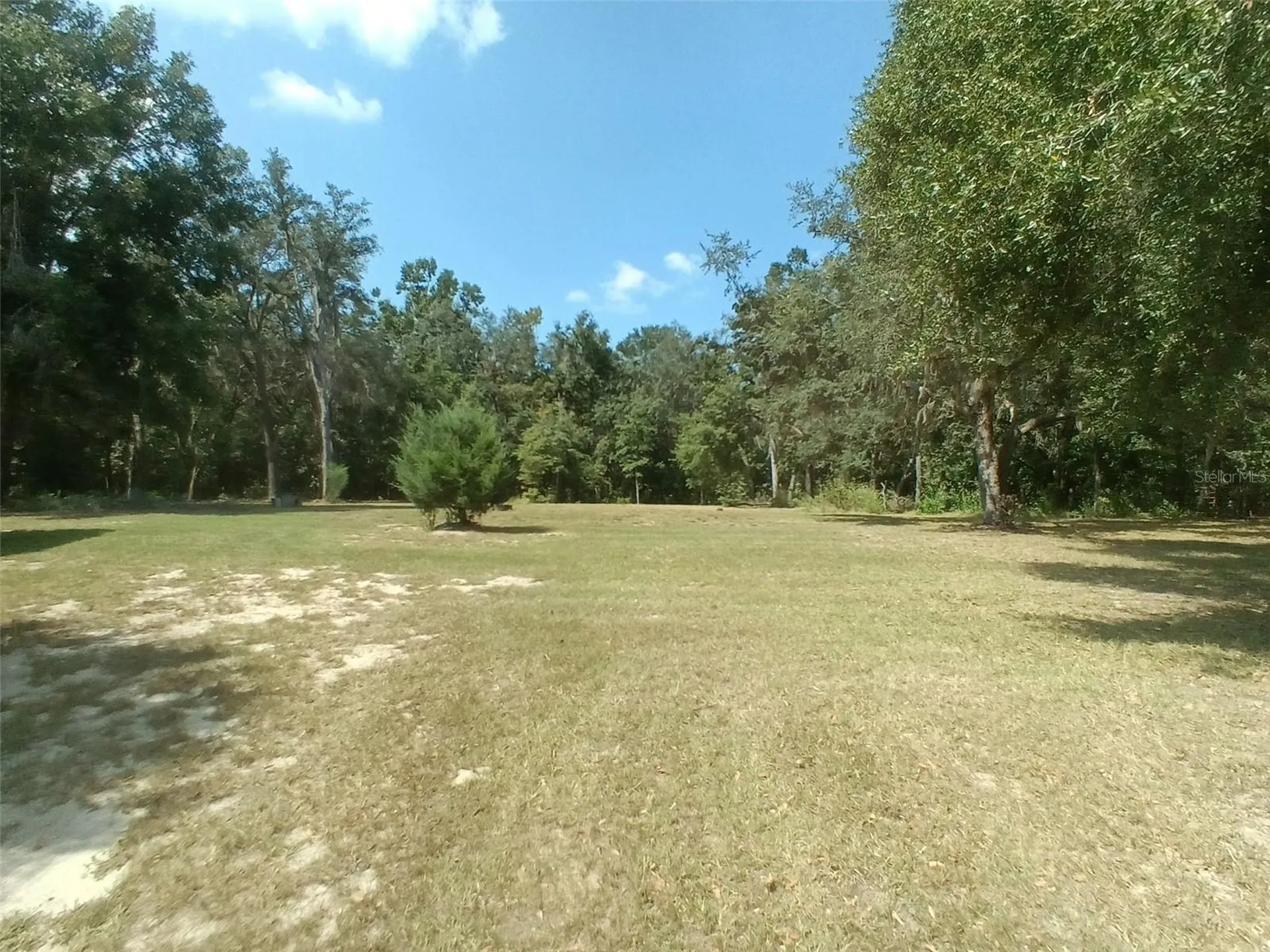 9889 NW 9th Court Branford FL 32008