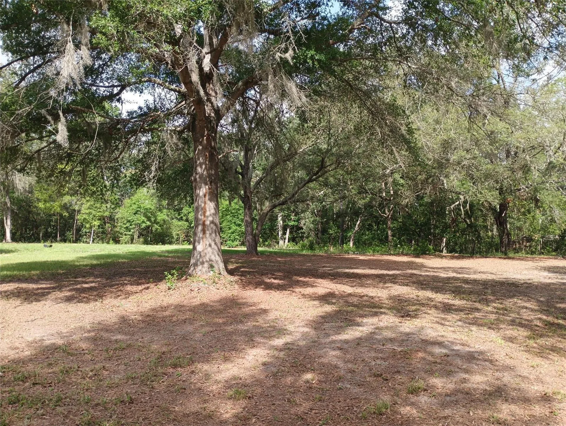 9889 NW 9th Court Branford FL 32008