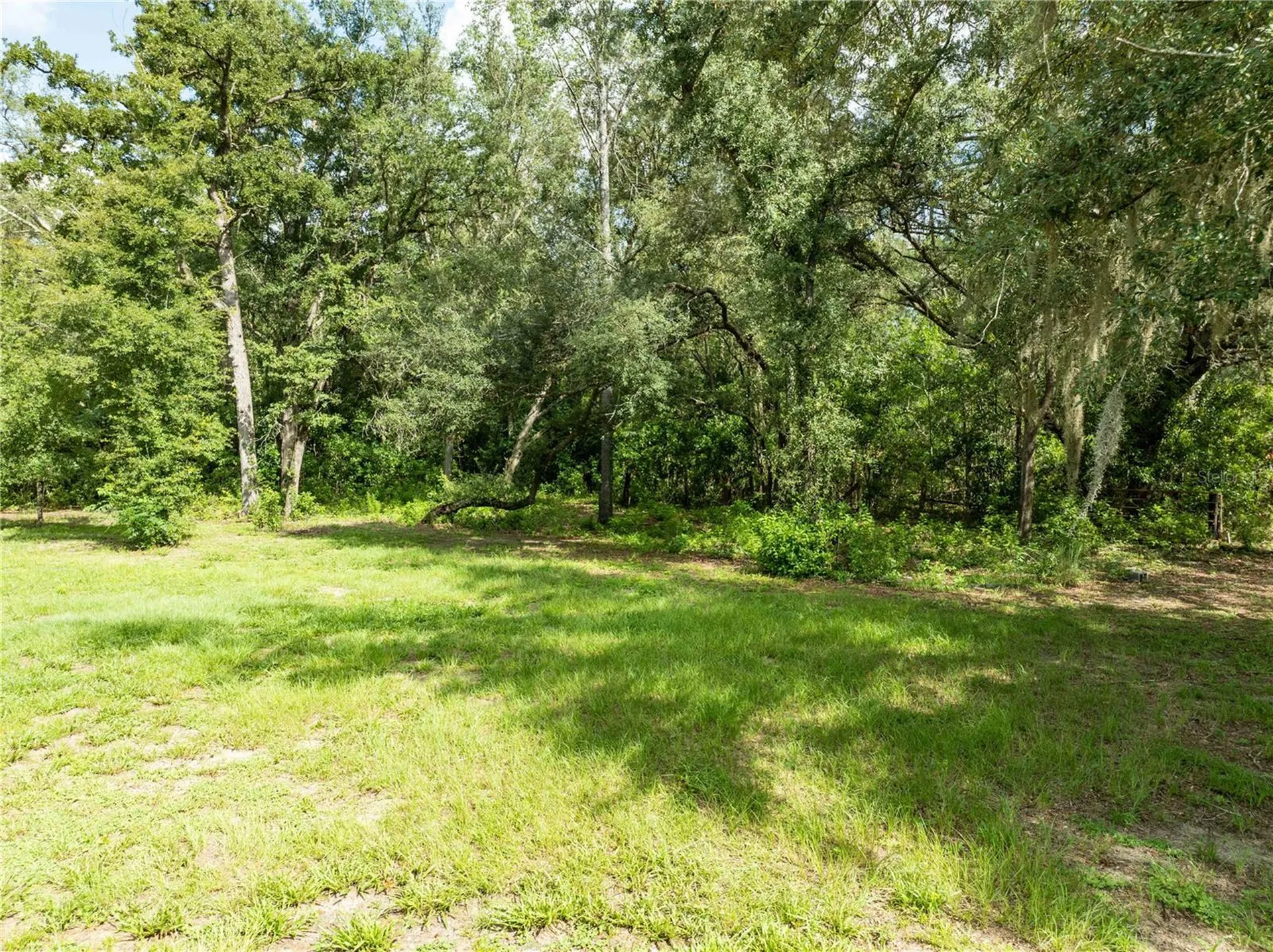 9889 NW 9th Court Branford FL 32008
