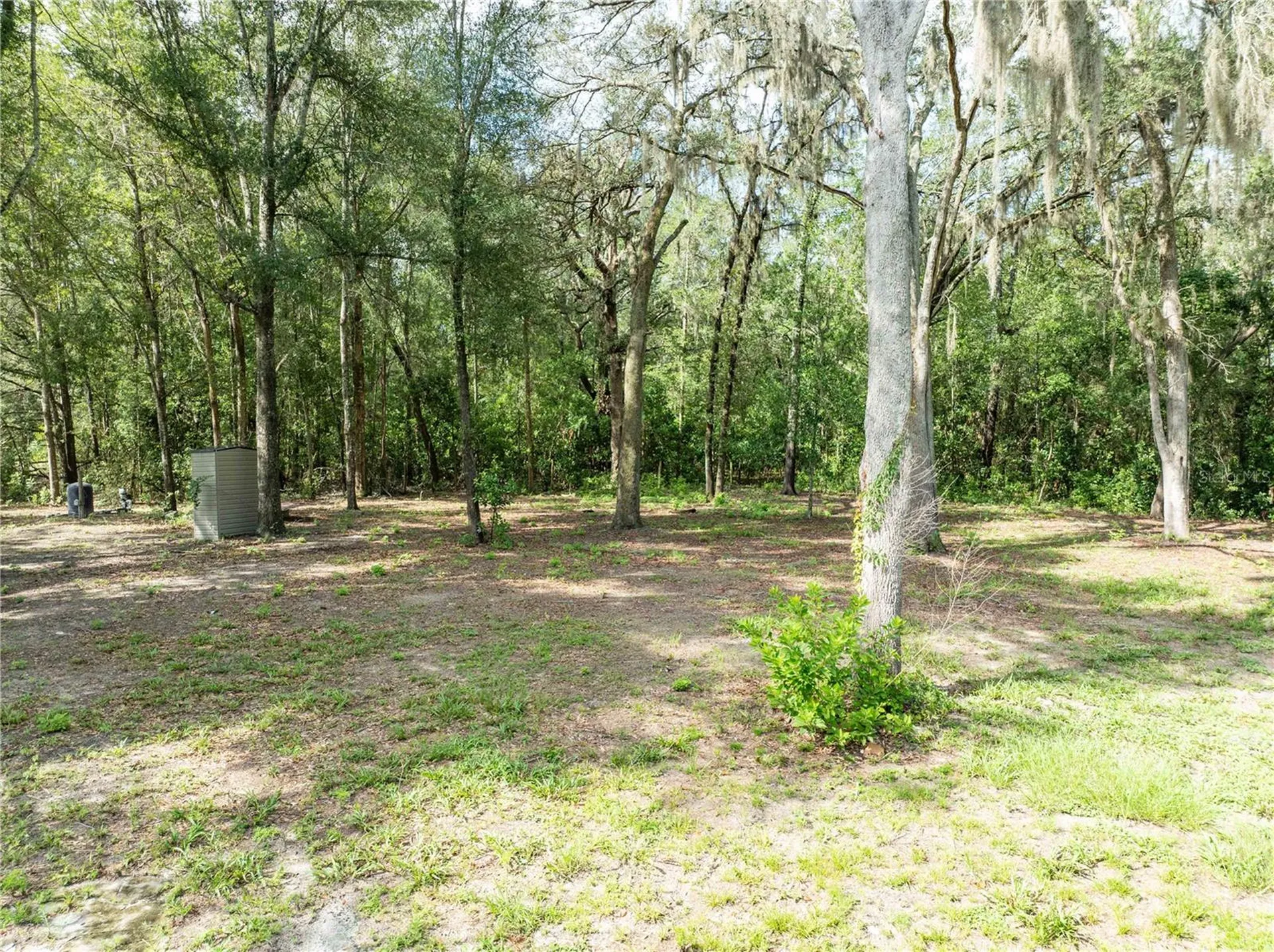 9889 NW 9th Court Branford FL 32008
