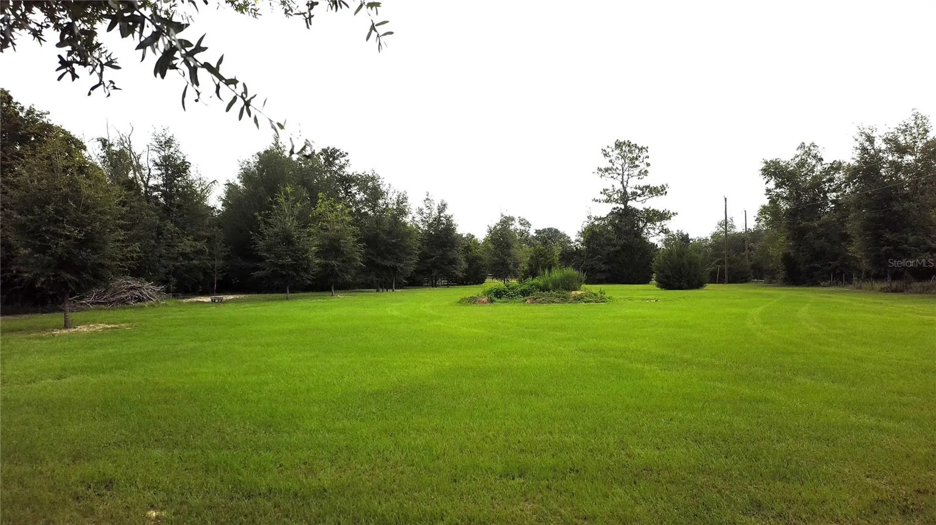 9889 NW 9th Court Branford FL 32008