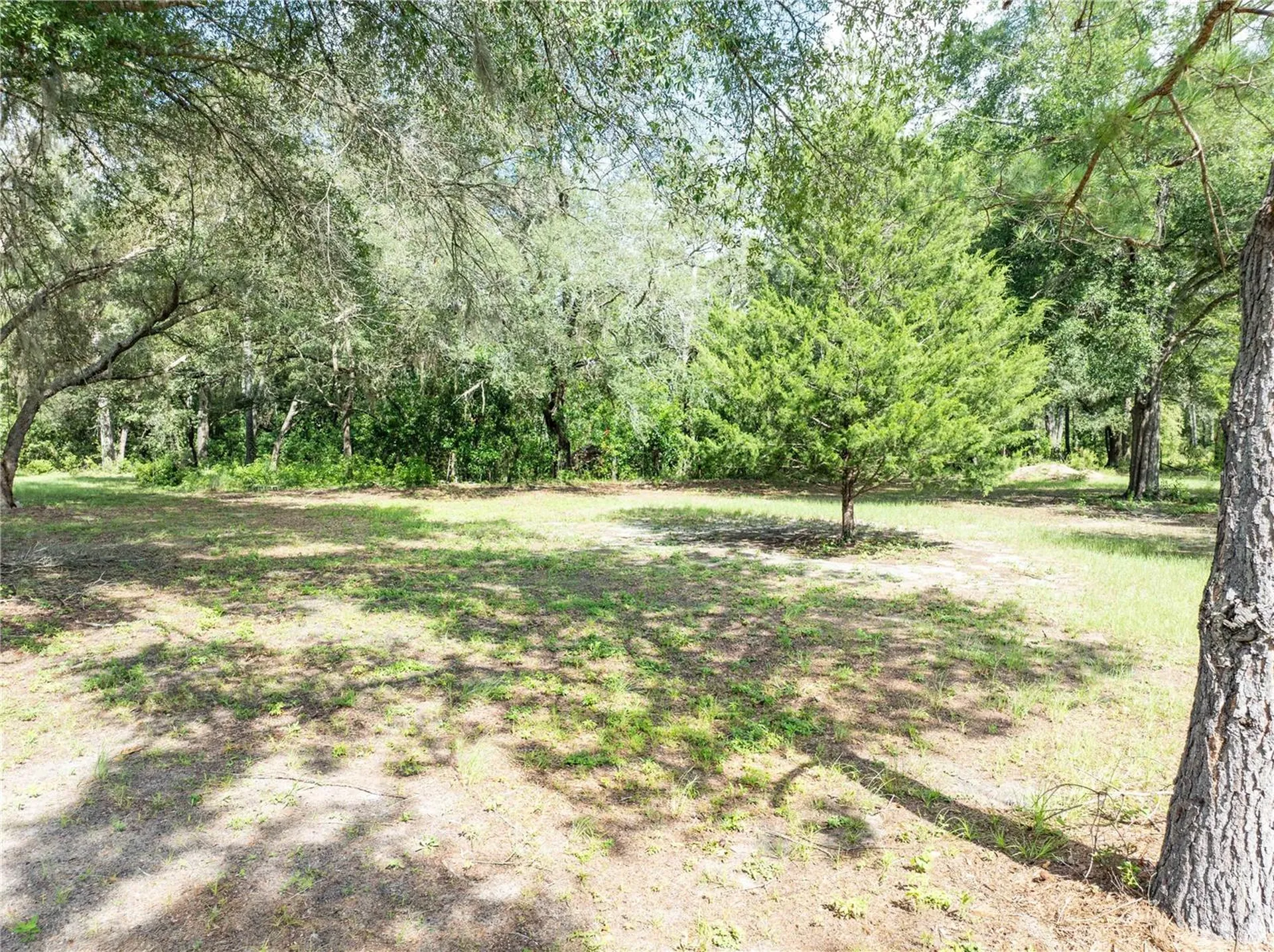 9889 NW 9th Court Branford FL 32008