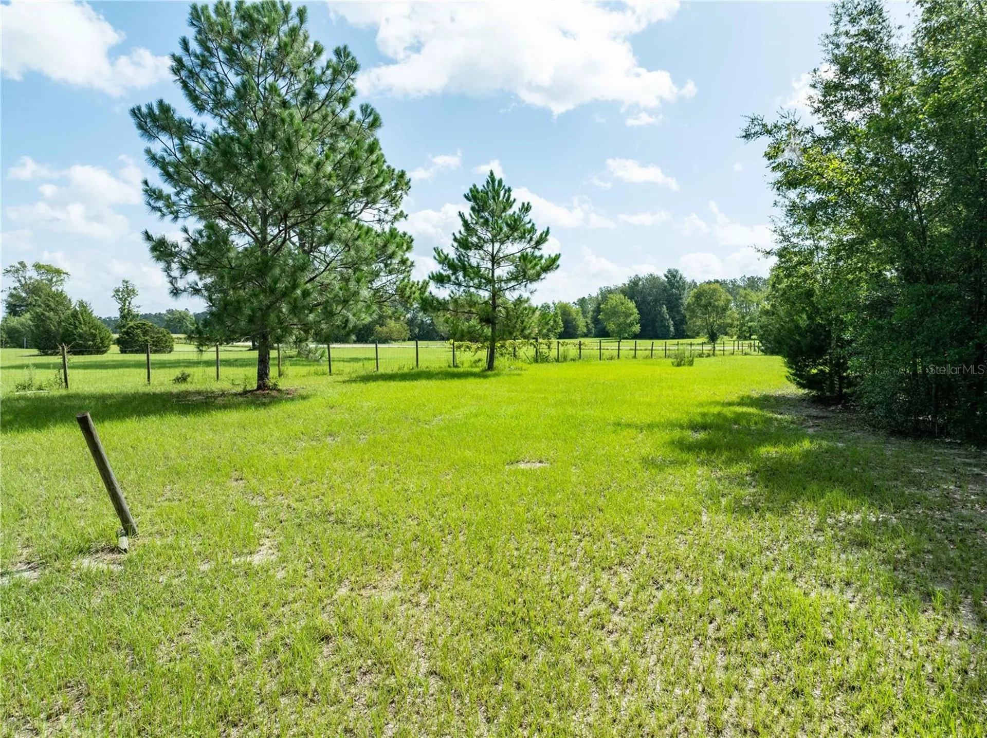 9889 NW 9th Court Branford FL 32008