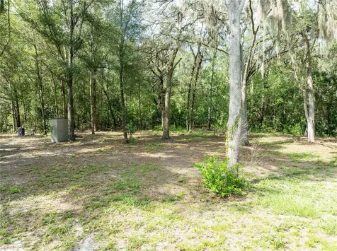 9889 NW 9th Court Branford FL 32008