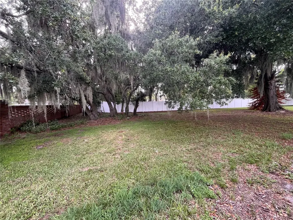 1504 Hawaiian Palm Lane Apopka FL 32712