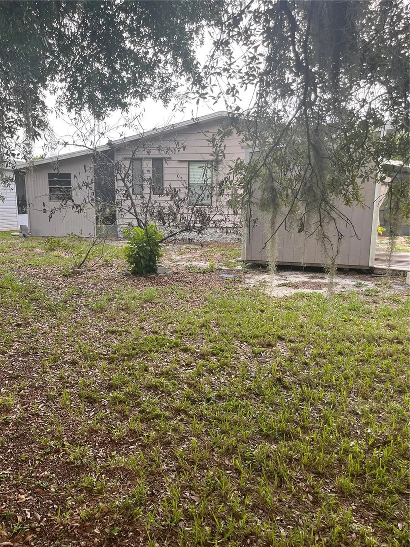 1504 Hawaiian Palm Lane Apopka FL 32712