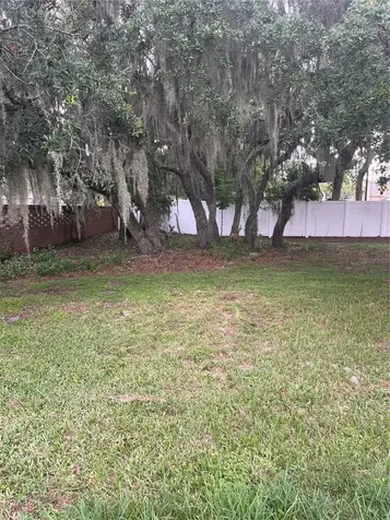 1504 Hawaiian Palm Lane Apopka FL 32712