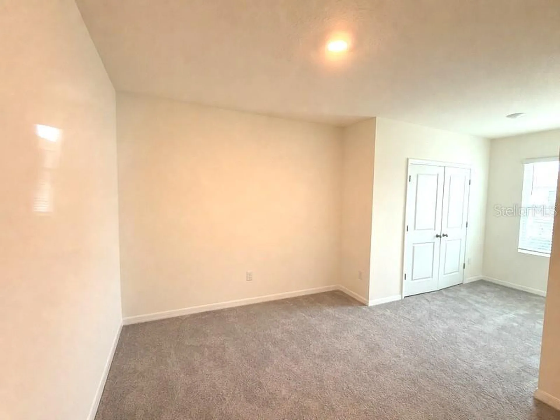 17234 Amber Aspen Way Land O Lakes FL 34638