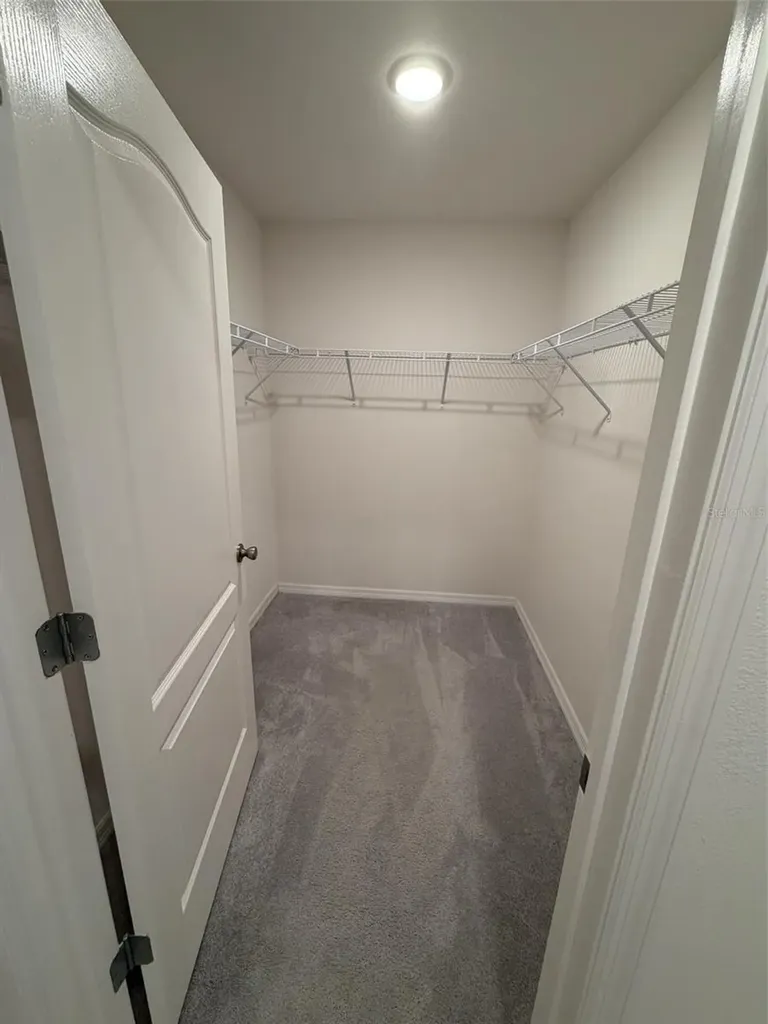4743 Deer Track Street Tampa FL 33610