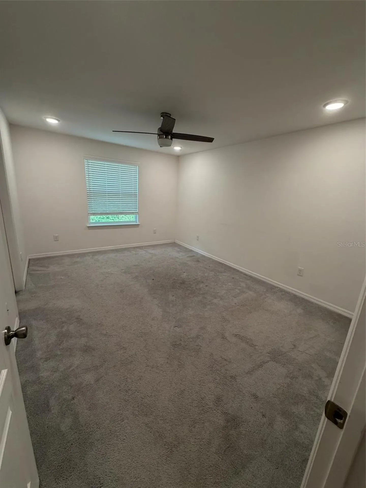 4743 Deer Track Street Tampa FL 33610