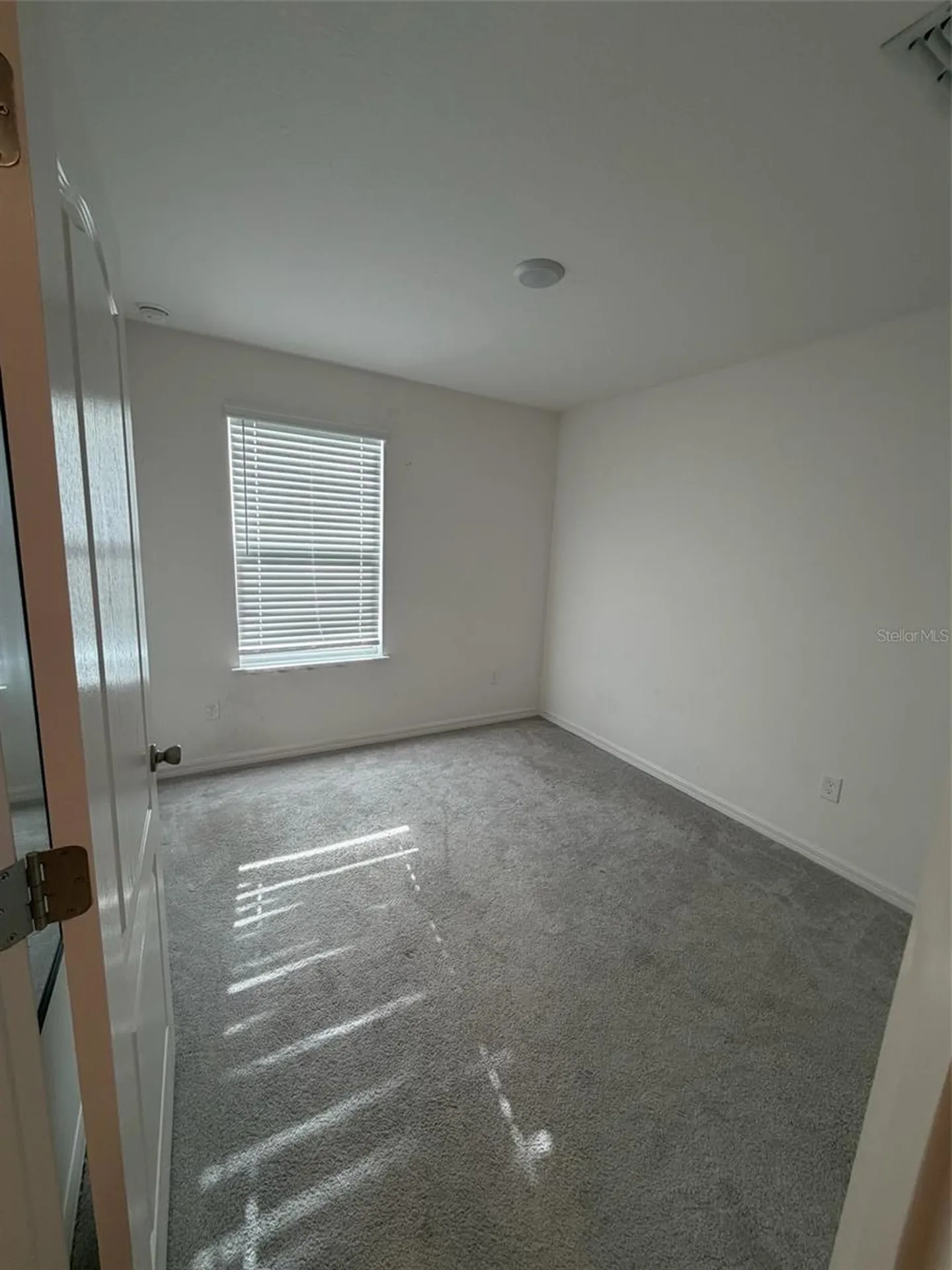 4743 Deer Track Street Tampa FL 33610
