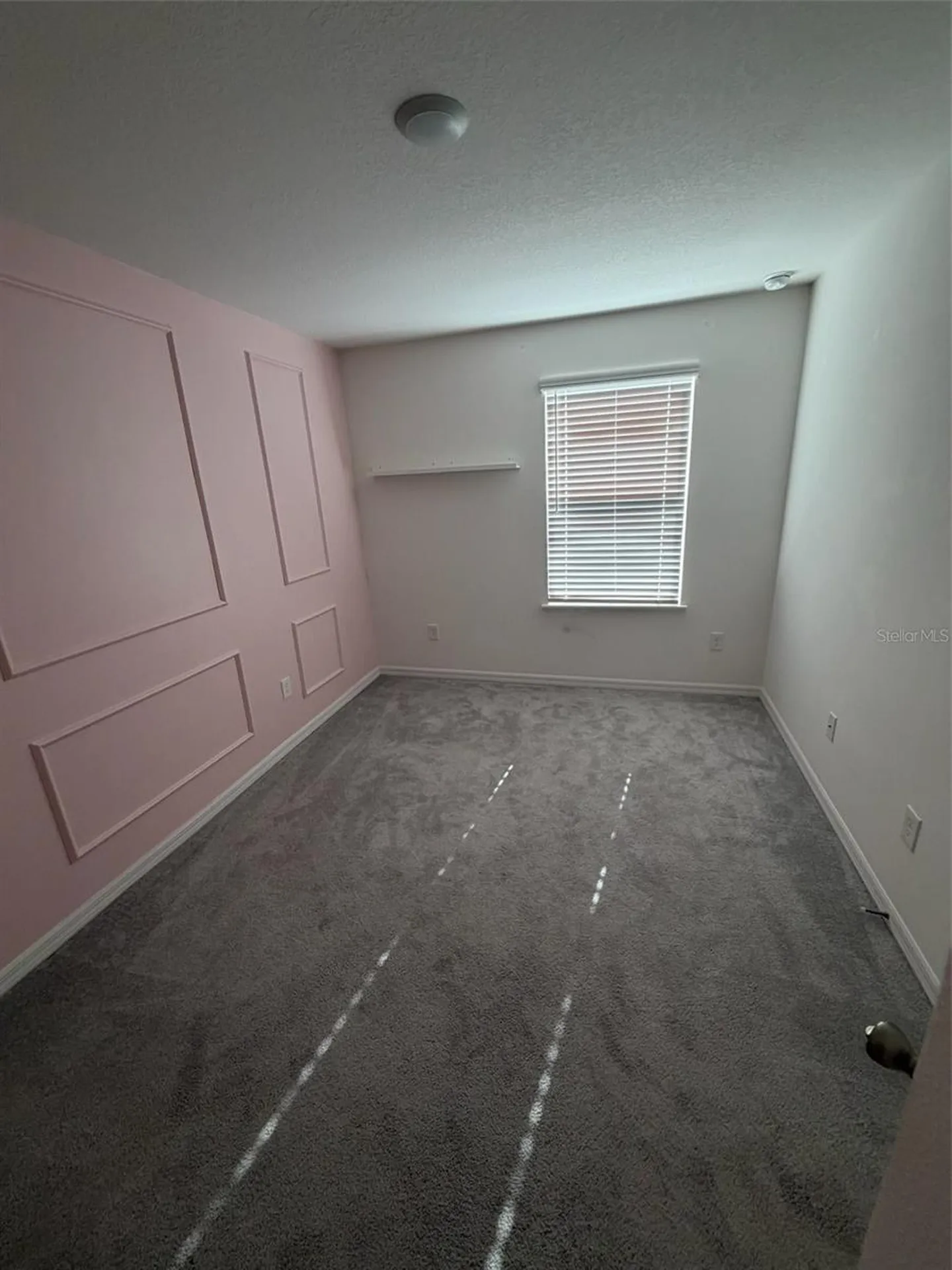 4743 Deer Track Street Tampa FL 33610