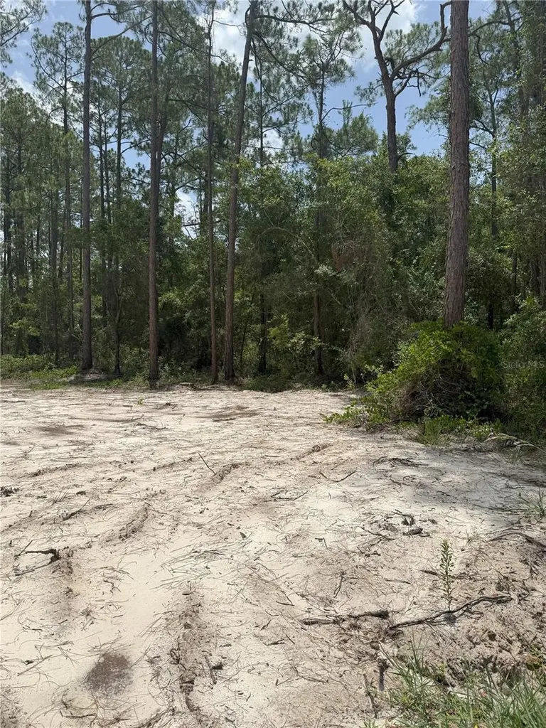 1573 Laurel Avenue Bunnell FL 32110