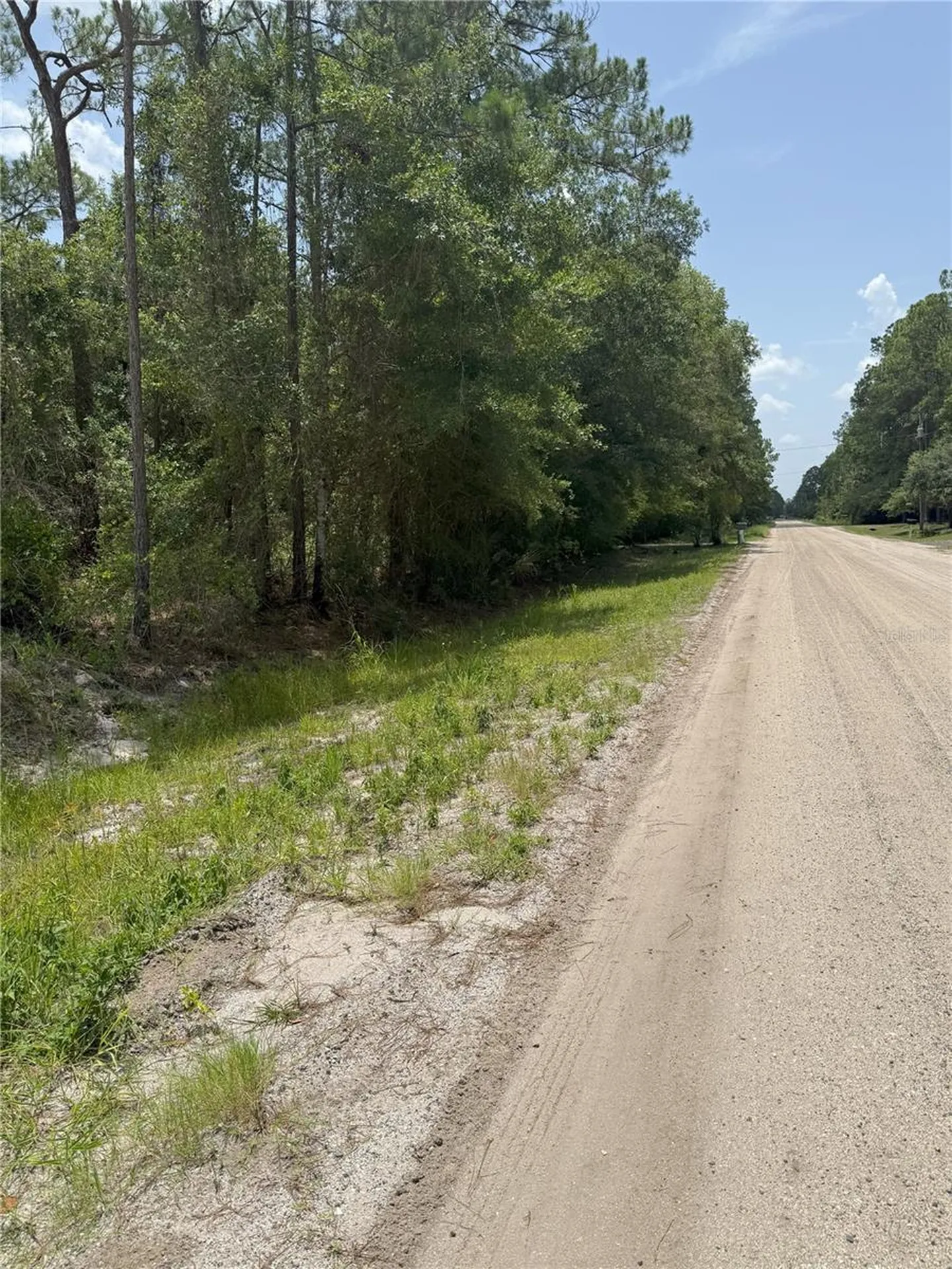 1573 Laurel Avenue Bunnell FL 32110