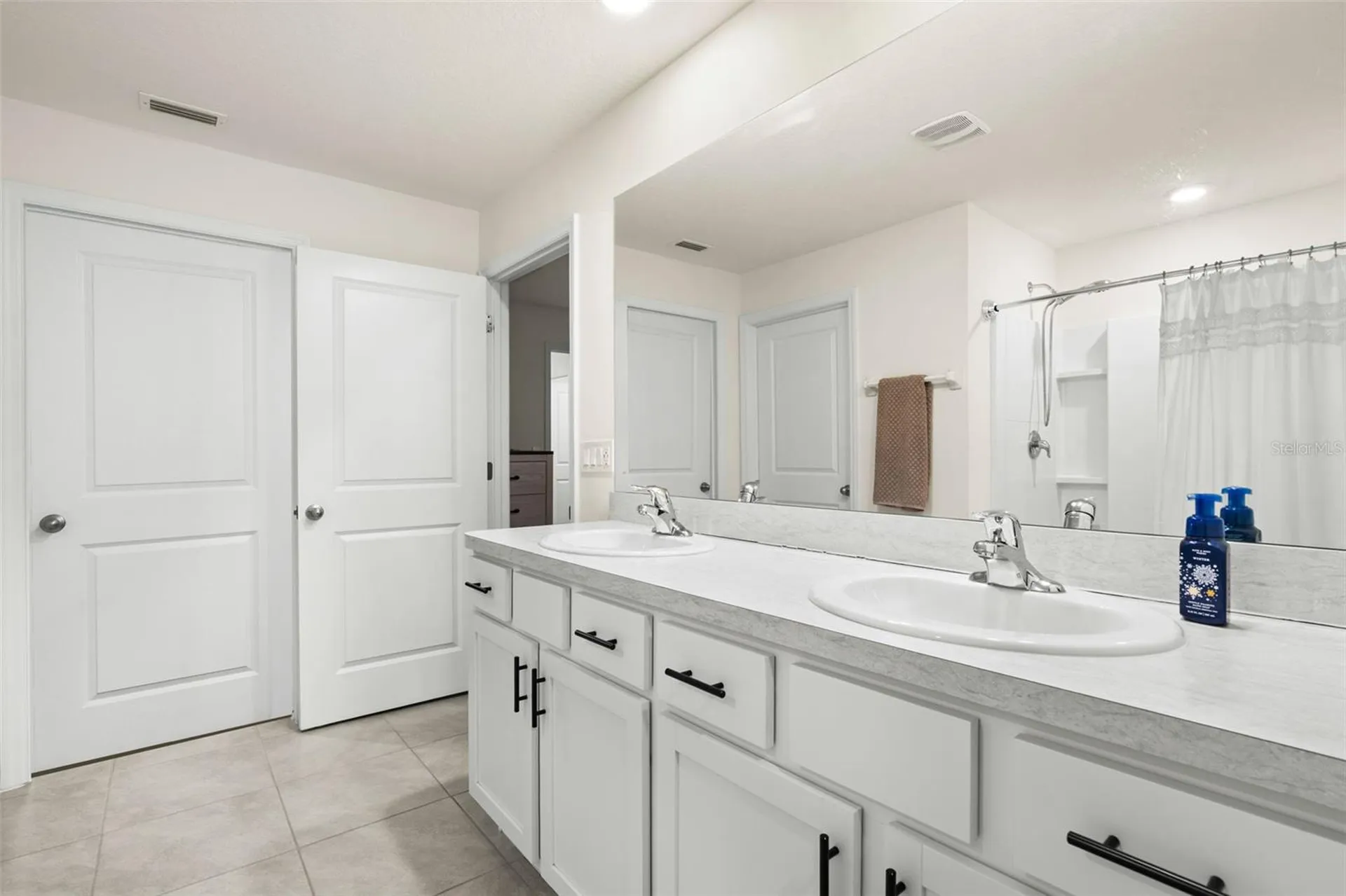 5480 Flint Hills Drive Wimauma FL 33598