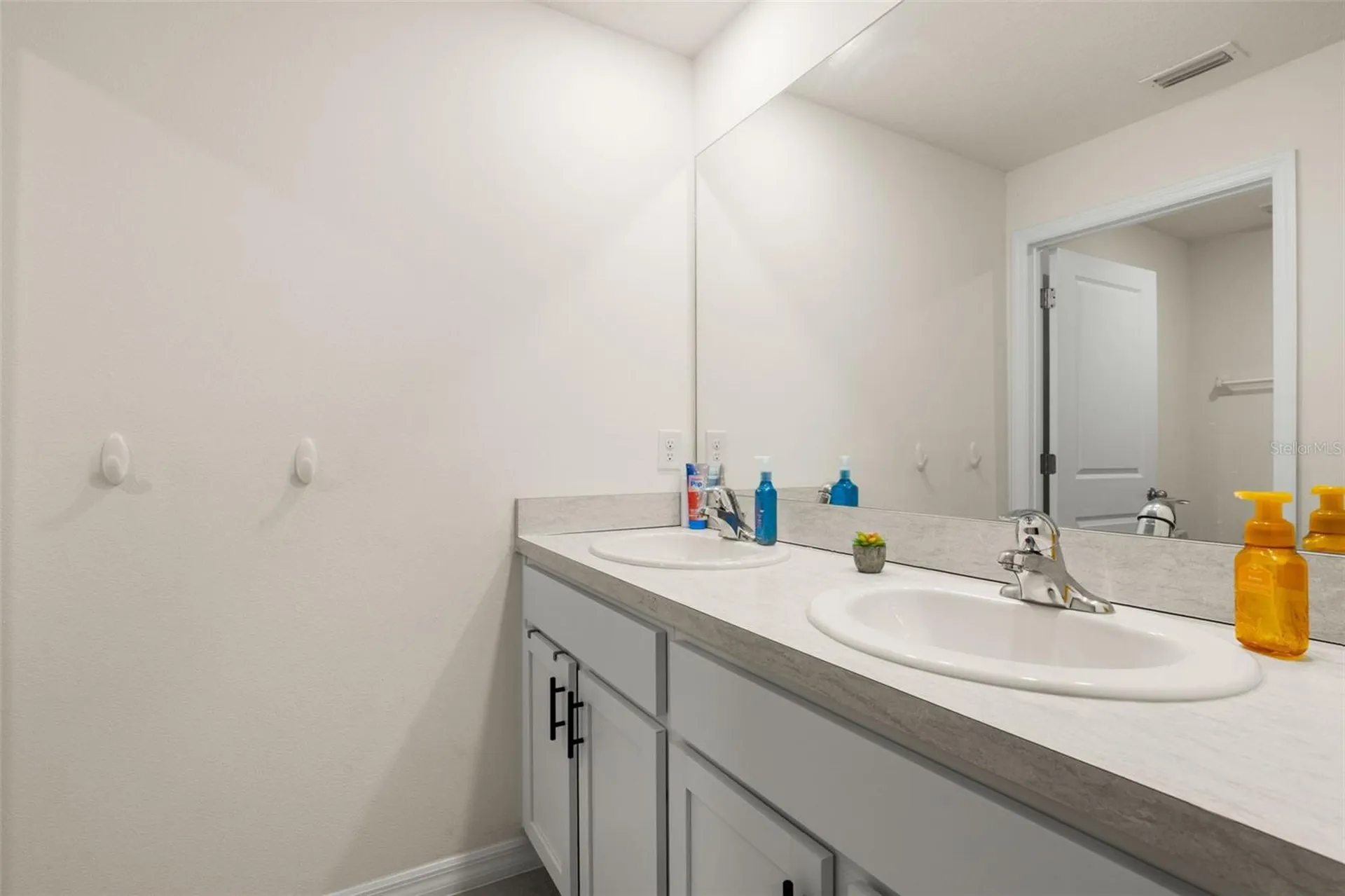 5480 Flint Hills Drive Wimauma FL 33598