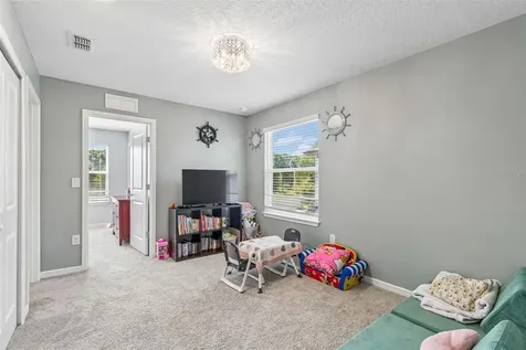 13078 Stillmont Place Tampa FL 33624