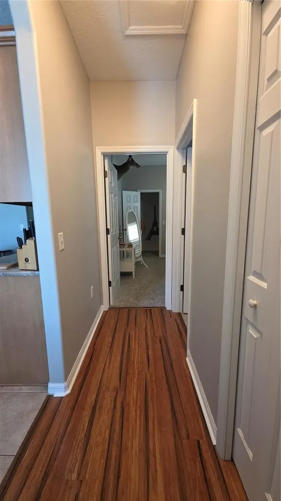 36812 Queen Bee Lane Grand Island FL 32735