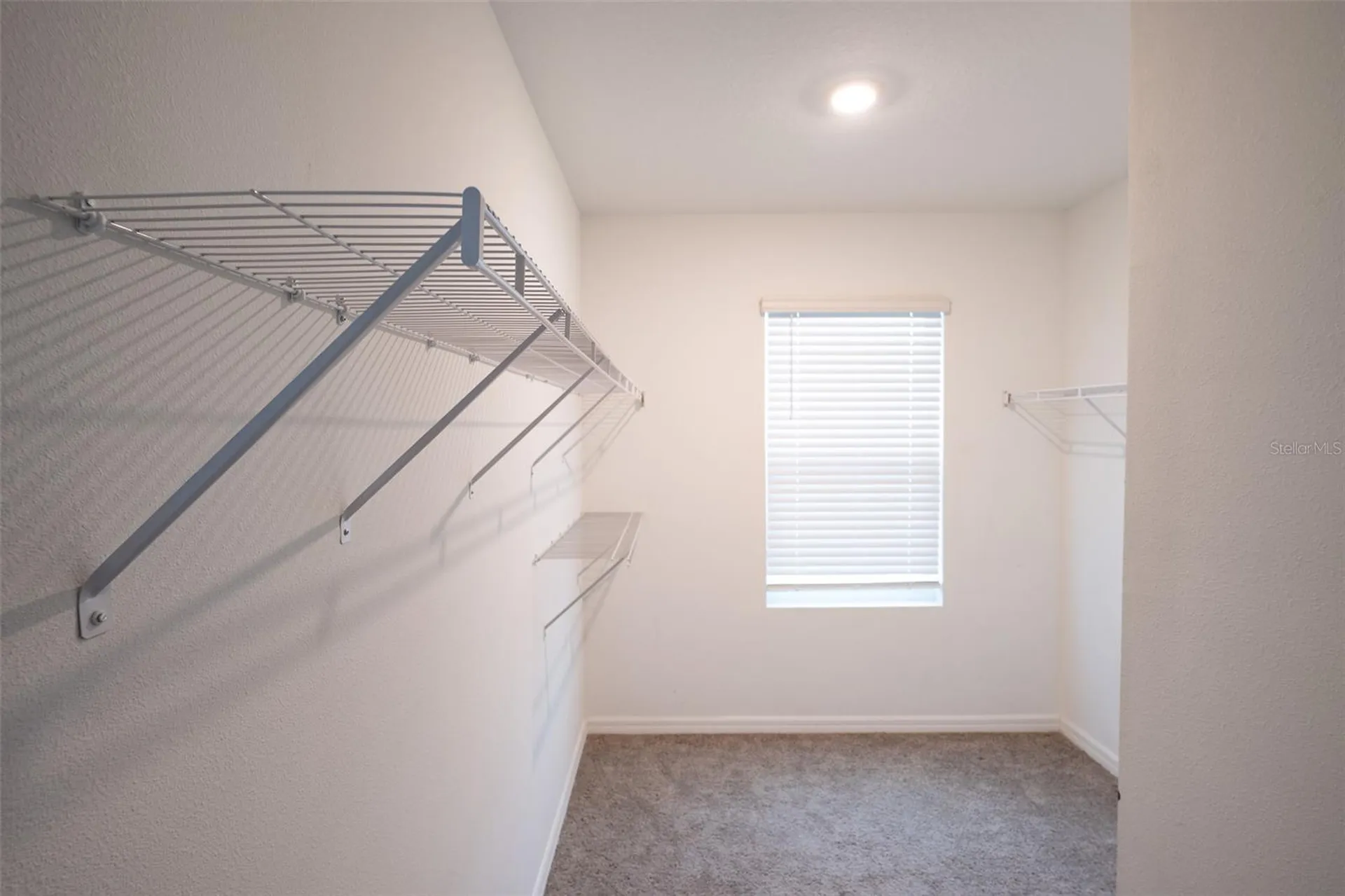 35606 Kinsey Point Zephyrhills FL 33541