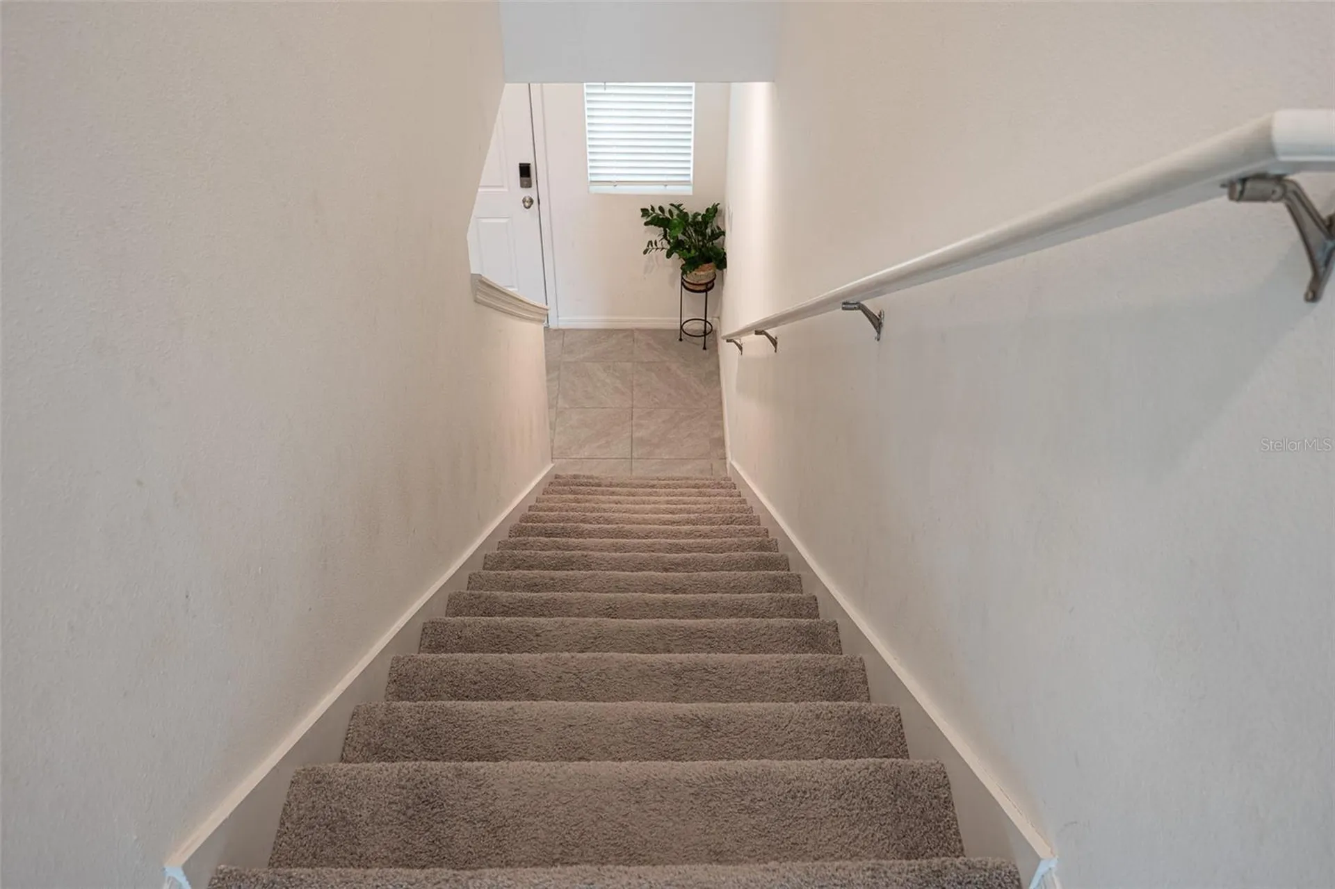 35606 Kinsey Point Zephyrhills FL 33541