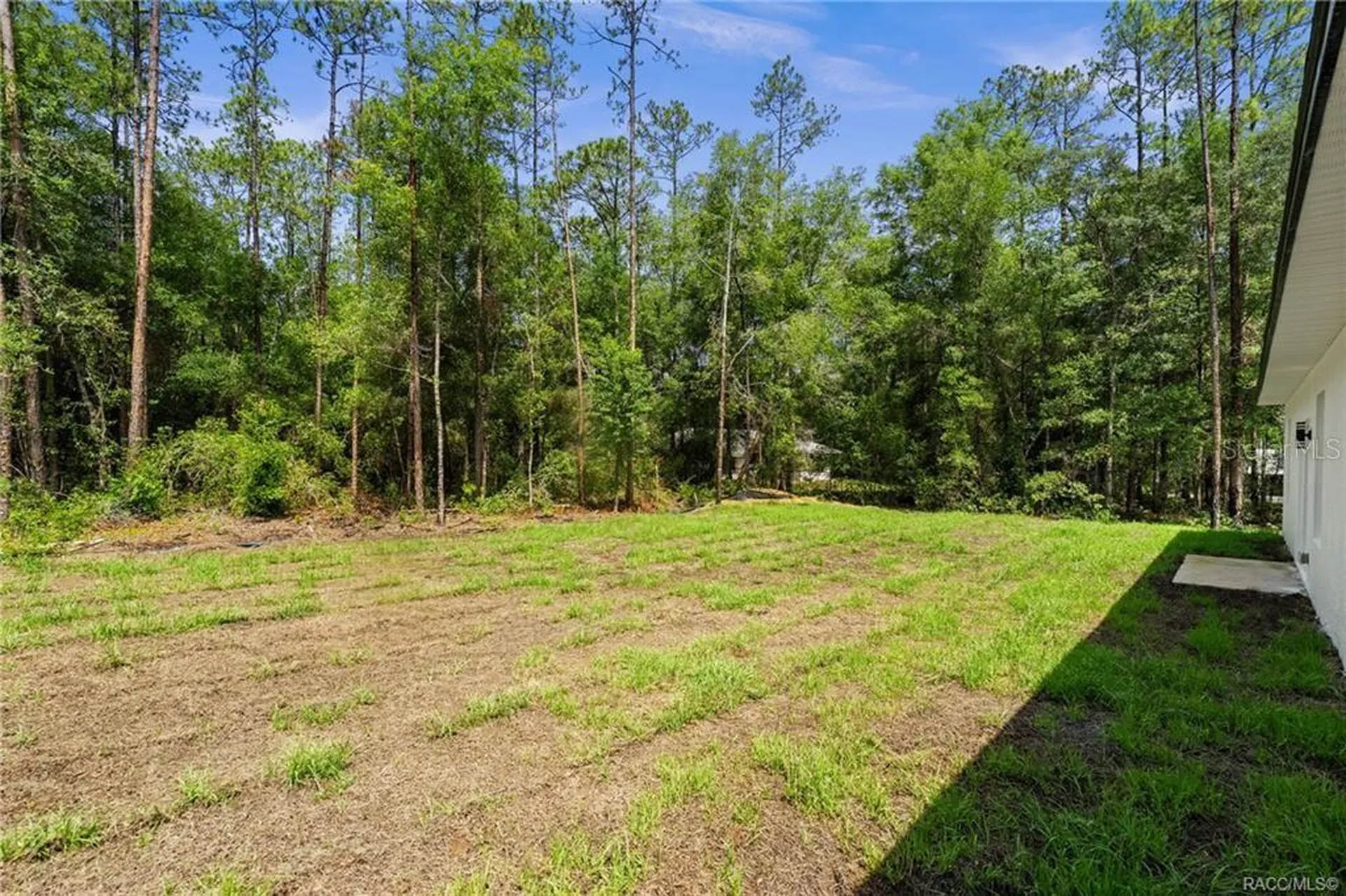 6097 N Darlington Drive Citrus Springs FL 34434