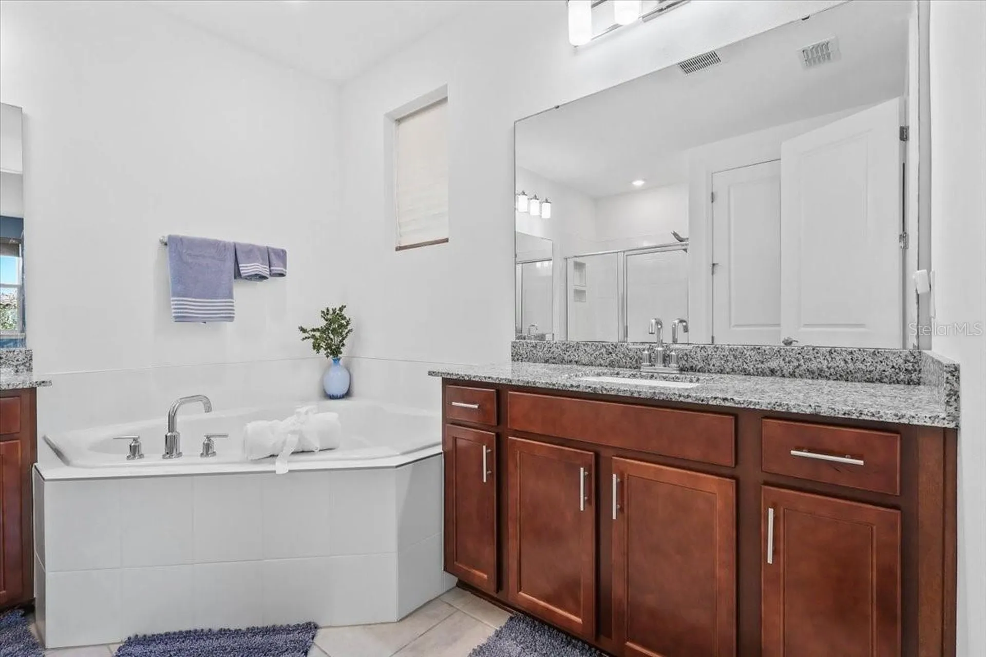 9953 Summerlake Groves Street Winter Garden FL 34787