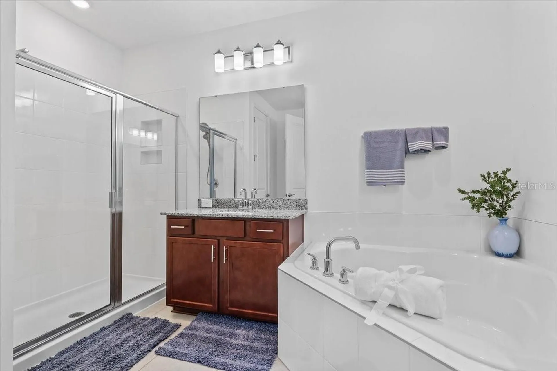 9953 Summerlake Groves Street Winter Garden FL 34787