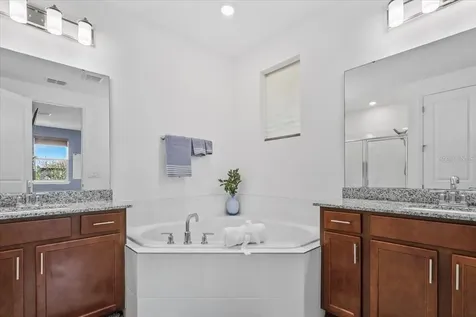 9953 Summerlake Groves Street Winter Garden FL 34787