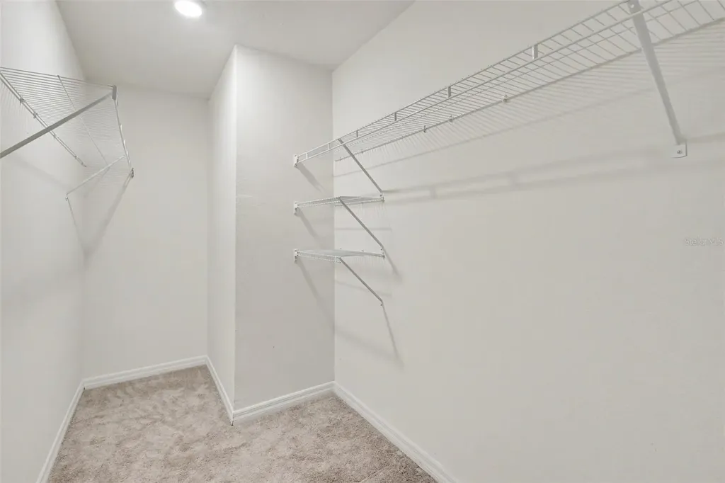36851 Goffaux Loop Zephyrhills FL 33541