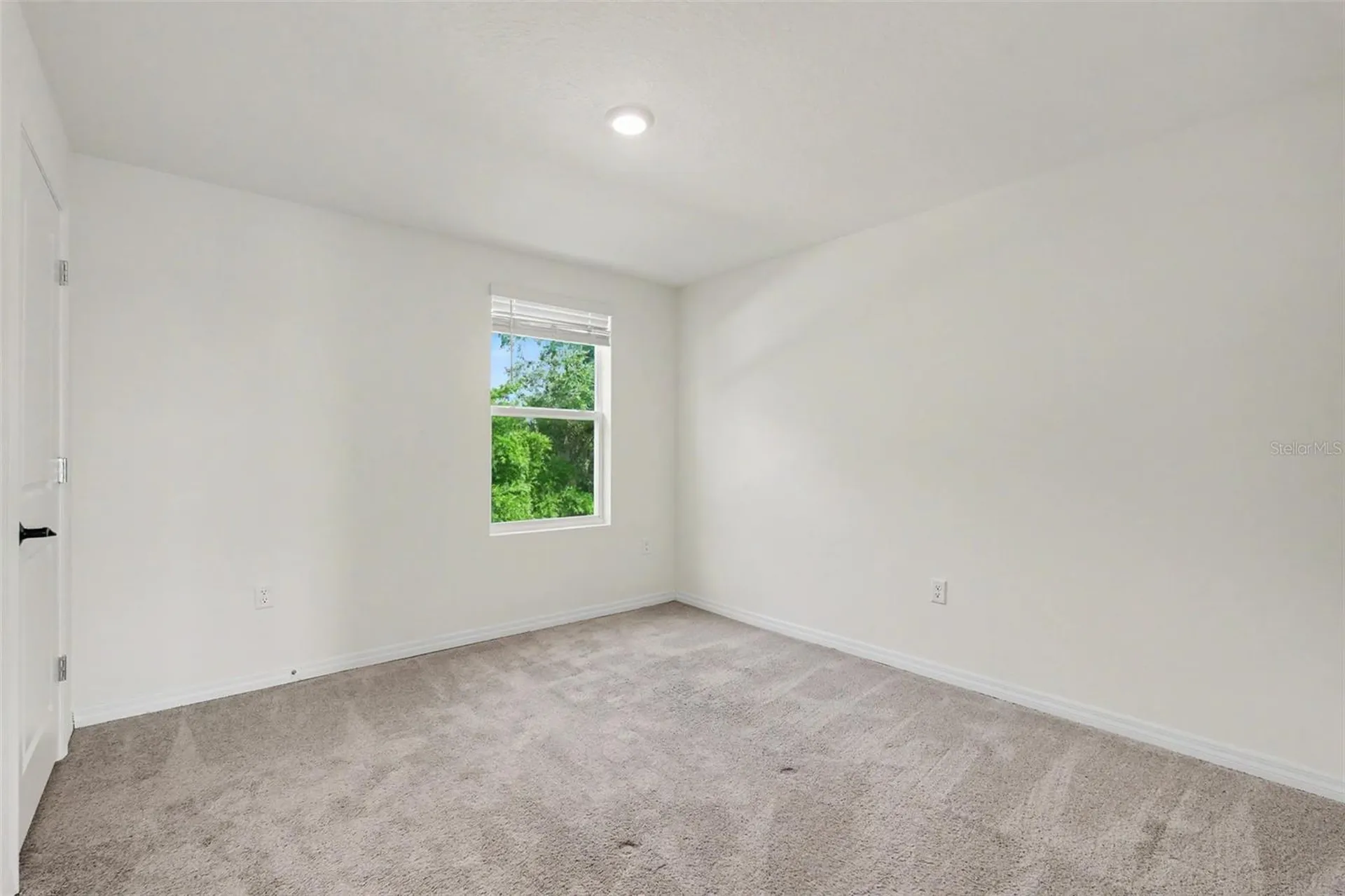 36851 Goffaux Loop Zephyrhills FL 33541