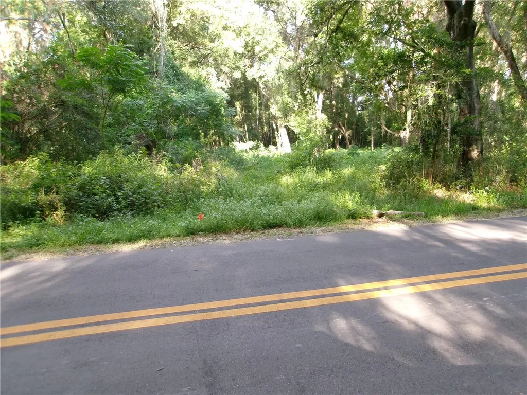St Clair Street Wildwood FL 34785