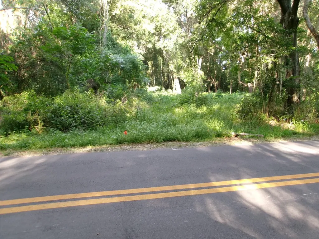 St Clair Street Wildwood FL 34785