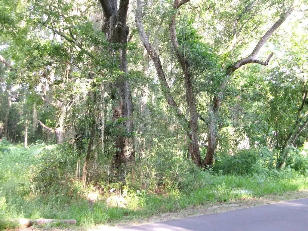 St Clair Street Wildwood FL 34785