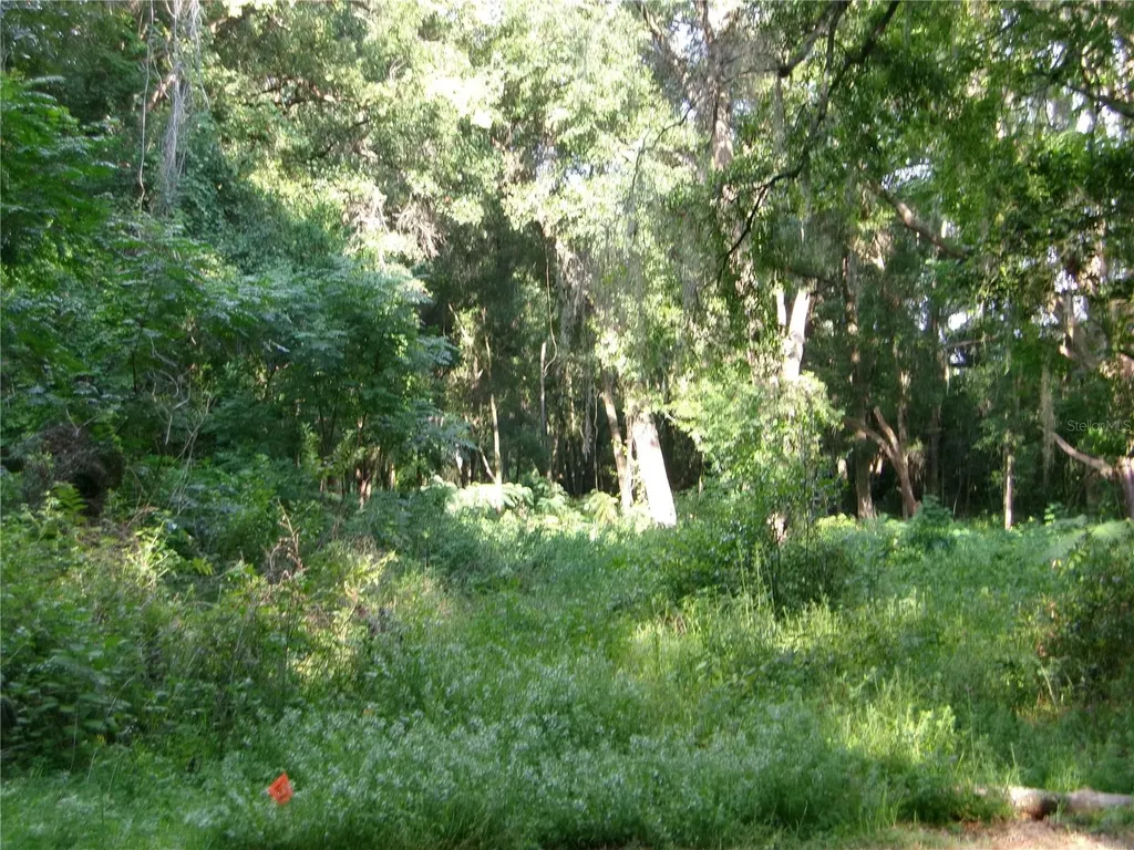 St Clair Street Wildwood FL 34785