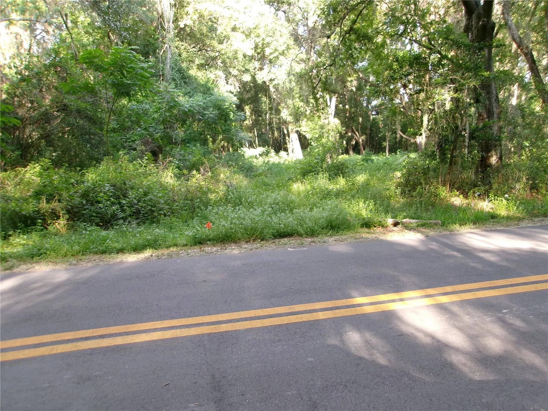 St Clair Street Wildwood FL 34785