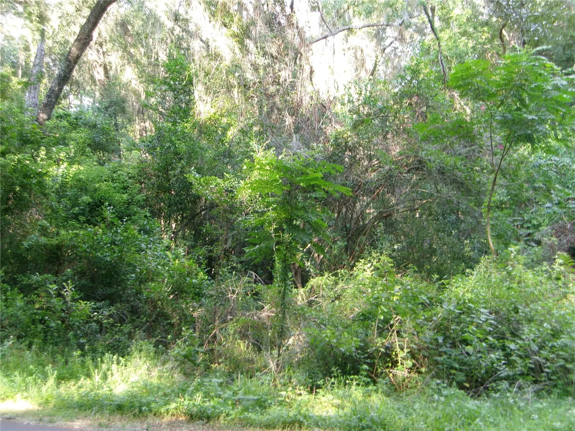 St Clair Street Wildwood FL 34785