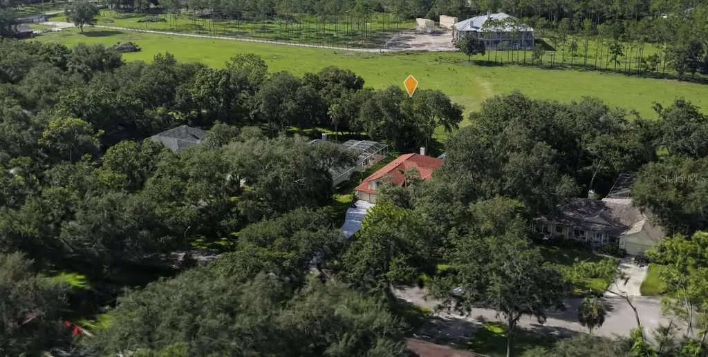 2409 Fox Forest Drive Lutz FL 33549
