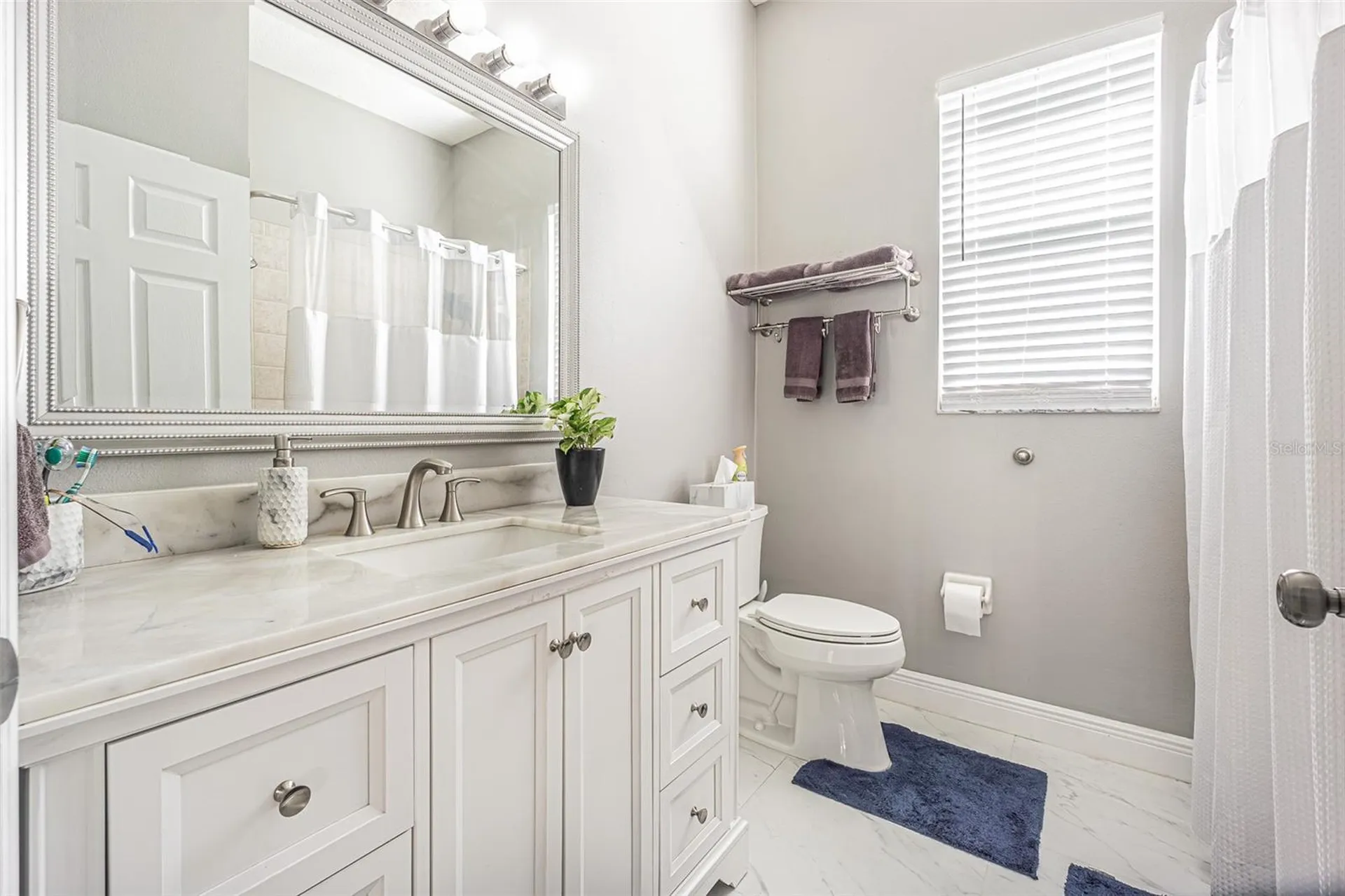 2409 Fox Forest Drive Lutz FL 33549