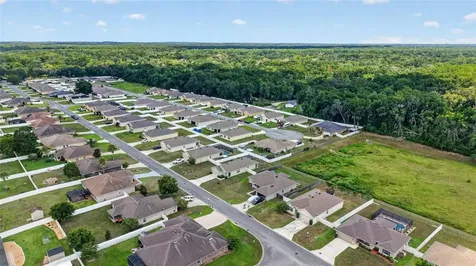 3886 SE 97th Lane Belleview FL 34420