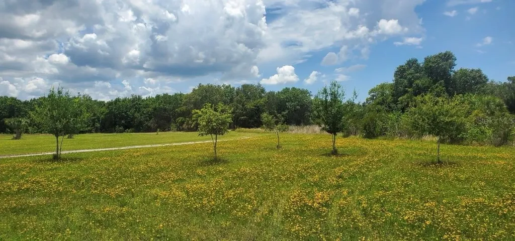 15908 W Lake Drive Wimauma FL 33598