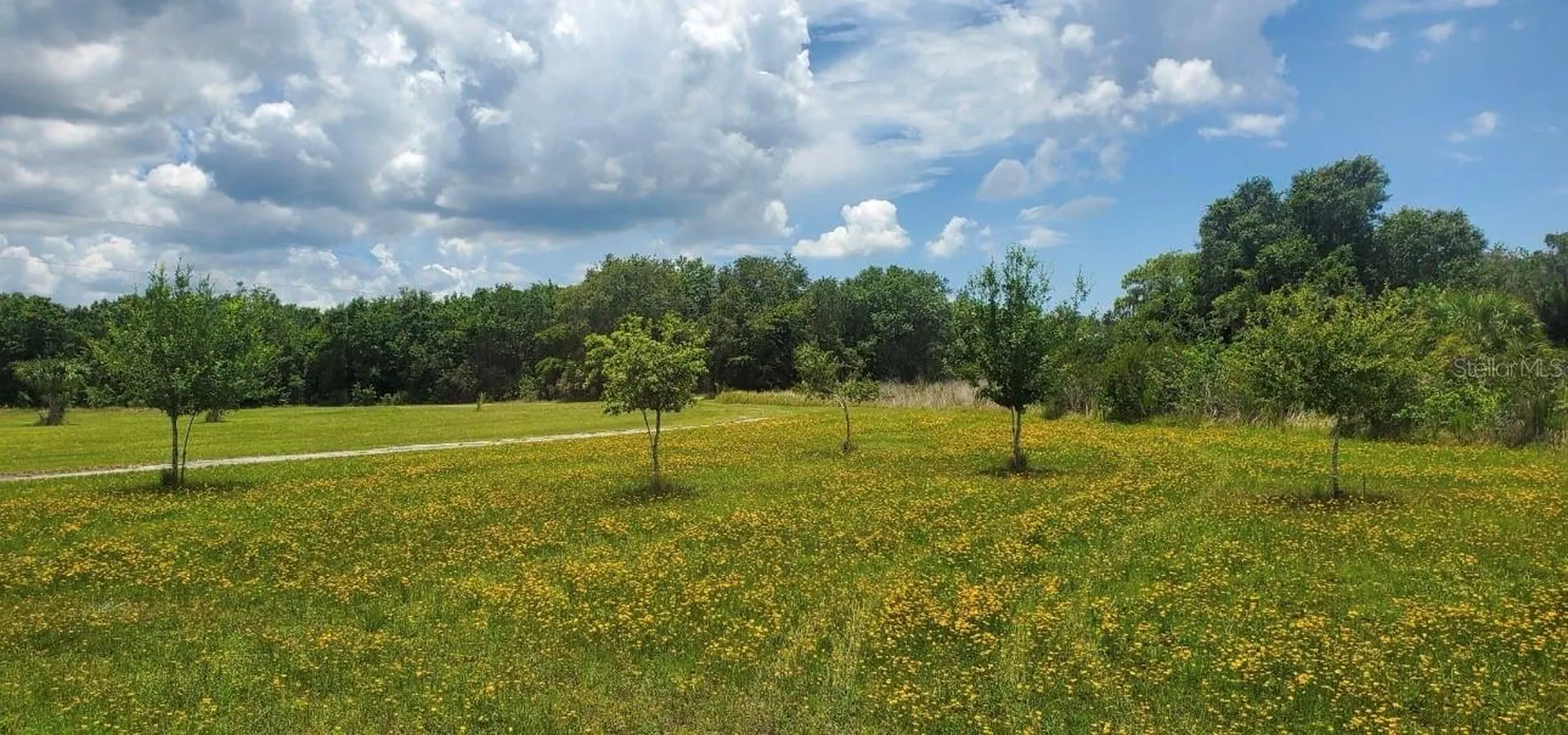 15908 W Lake Drive Wimauma FL 33598