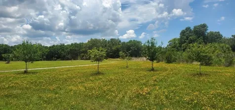 15908 W Lake Drive Wimauma FL 33598